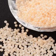 Bisquit ceylon Rocailles 2mm per 50gram - #132232