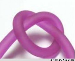 Hol rubber fuchsia 6.5mm - per meter - #16554