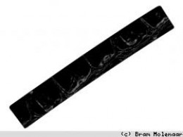 JolieStyle leerband Croc zwart glans 29mm - #6281