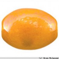 Keramiek kraal oranje (7467) - #11147
