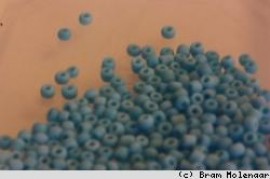 Rocailles 2mm Aqua solid - 10Gram - #11861