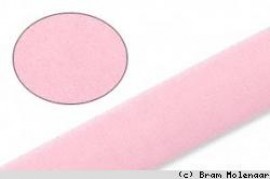 Velvet roze 6mm - 13meter - #16880